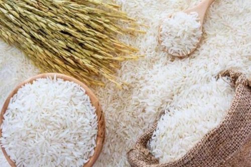 ممنوعیت واردات برنج راهکار درمانی است یا دستاویز دلالان برای گرانی