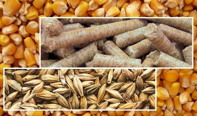 میزان واردات نهاده_های دامی چقدر است