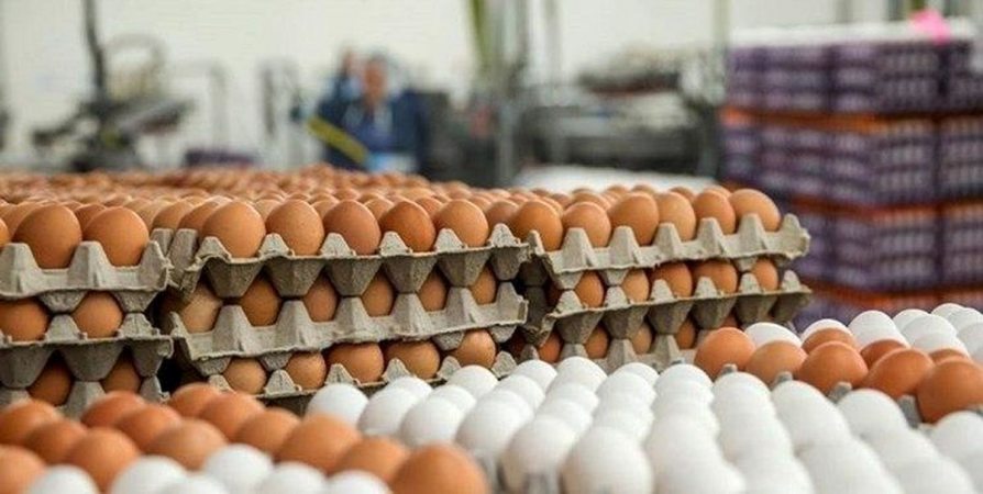 هیچ کمبودی در تولید مرغ و تخم_مرغ وجود ندارد