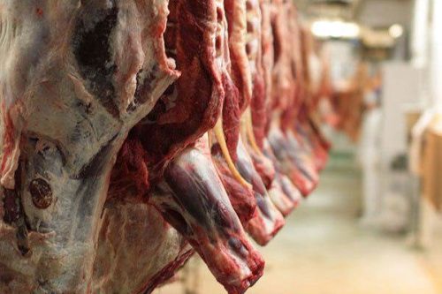 پیشبینی افزایش ۲۷ هزار تنی گوشت در سال جاری